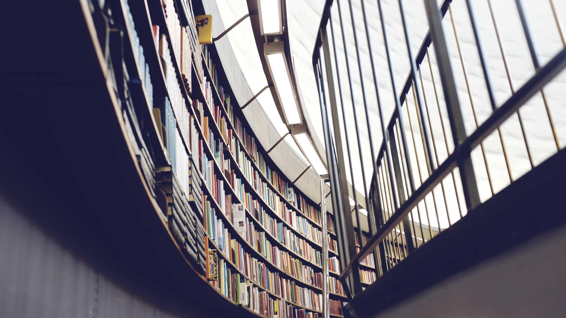 Отзывы клиентов